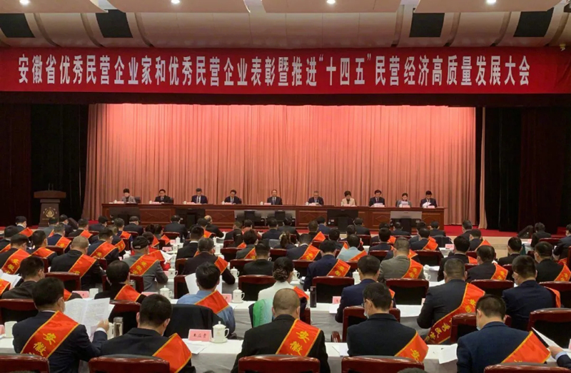 喜讯！冰球突破mg正规官网科技总经理梁燕被授予“安徽省优秀民营企业家”称号